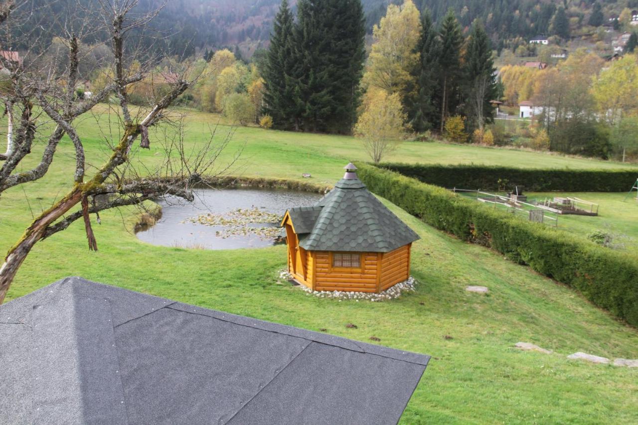 Chalet Centauree - Remy Herold Xonrupt-Longemer Bagian luar foto