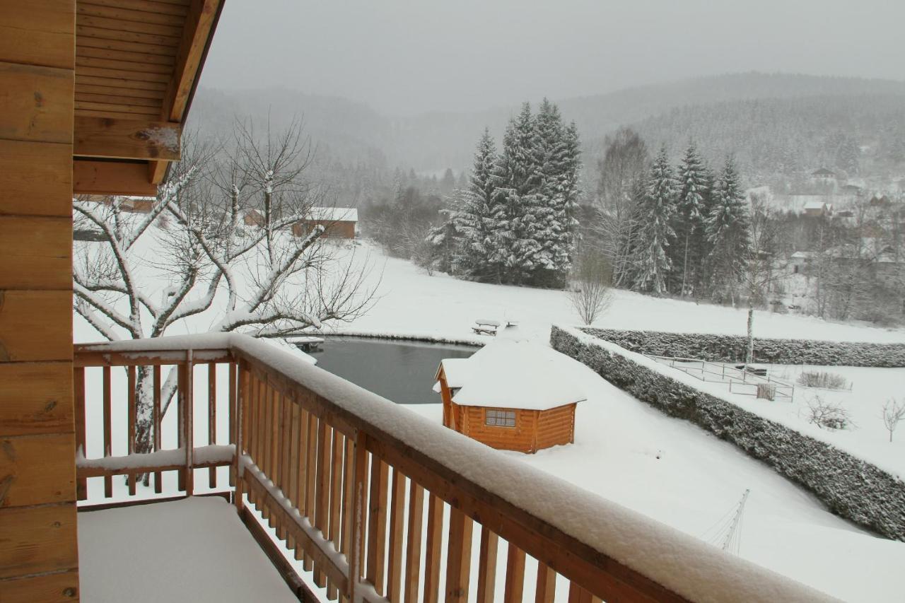 Chalet Centauree - Remy Herold Xonrupt-Longemer Bagian luar foto