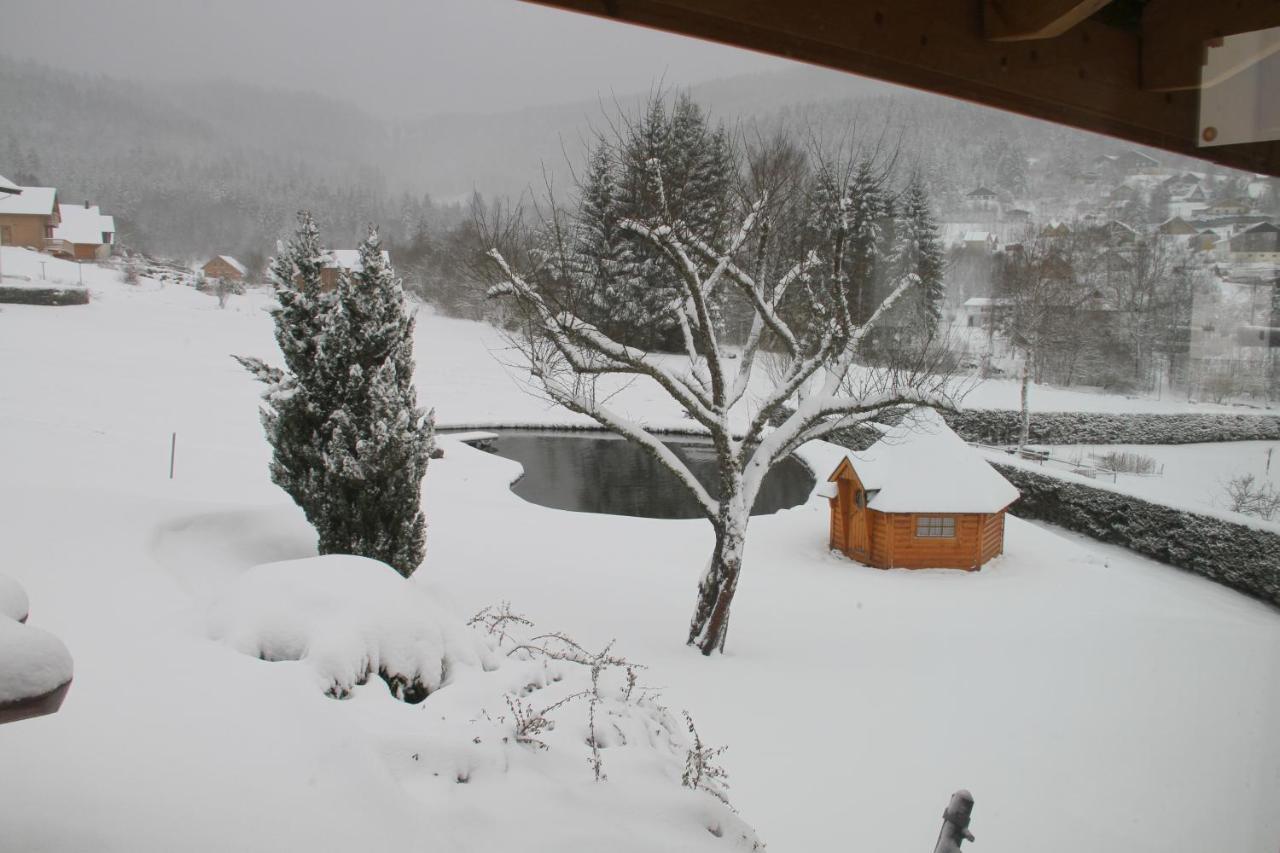 Chalet Centauree - Remy Herold Xonrupt-Longemer Bagian luar foto