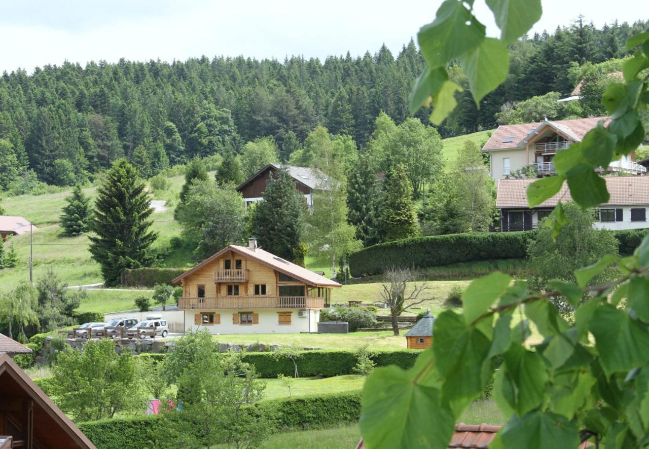 Chalet Centauree - Remy Herold Xonrupt-Longemer Bagian luar foto