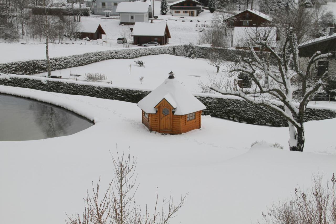 Chalet Centauree - Remy Herold Xonrupt-Longemer Bagian luar foto